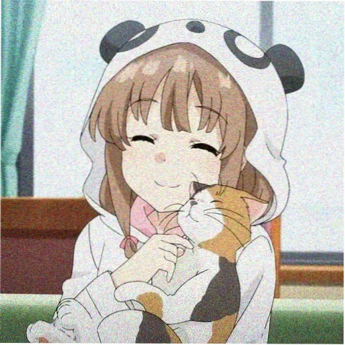user